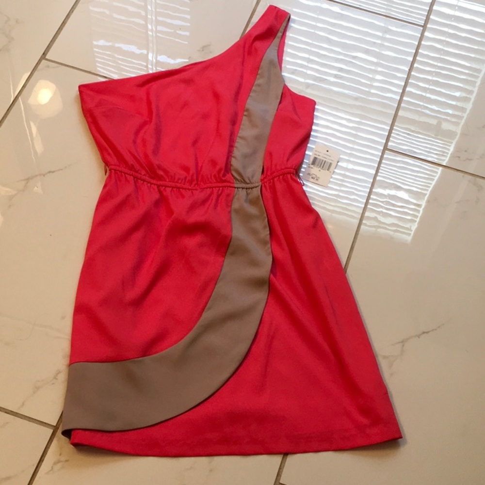 NWT Pink one shoulder dress